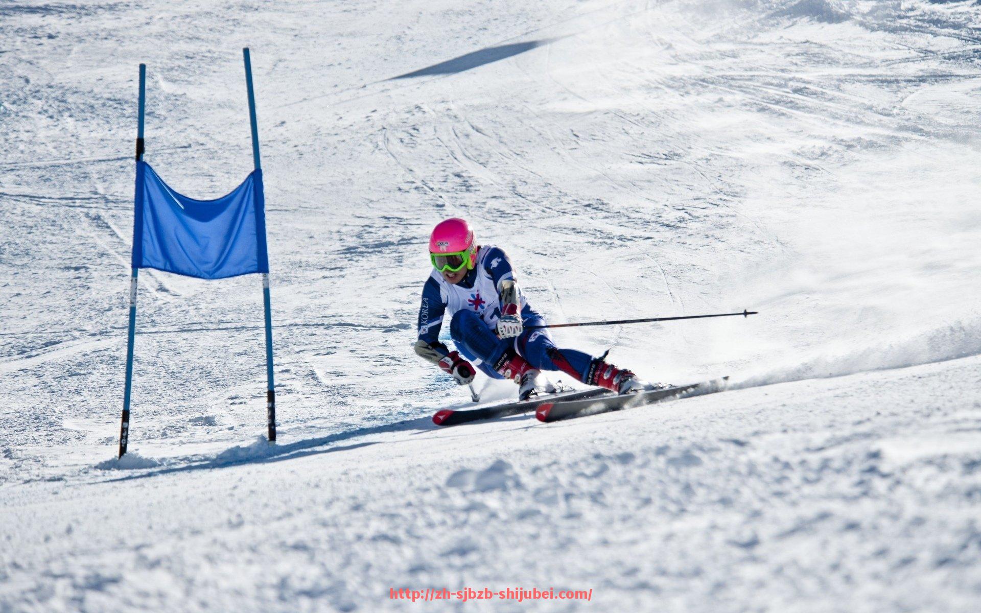 世俱杯直播-广州CBA球队龙狮队近期数据及表现总结